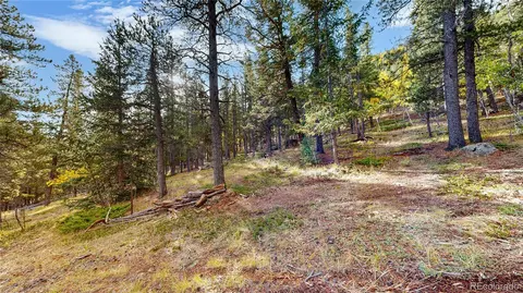 Other - 225 Renaud Rd, Bailey, CO 80421 photo 12 of 20