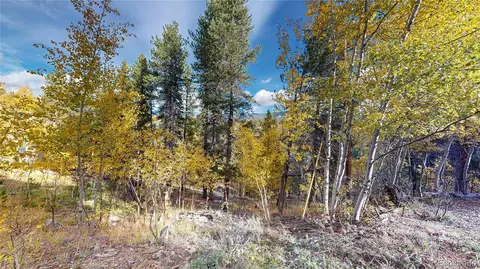 Exterior - 225 Renaud Rd, Bailey, CO 80421 photo 3 of 7