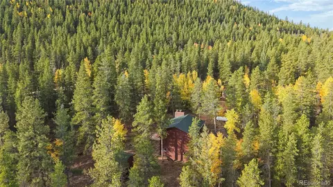 Other - 225 Renaud Rd, Bailey, CO 80421 photo 19 of 20