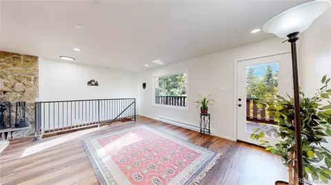 Living - 225 Renaud Rd, Bailey, CO 80421 photo 5 of 6