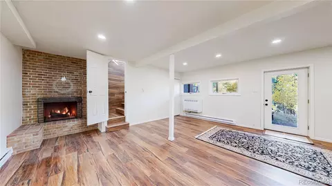 Living - 225 Renaud Rd, Bailey, CO 80421 photo 6 of 6