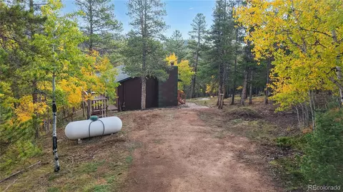 Exterior - 225 Renaud Rd, Bailey, CO 80421 photo 5 of 7
