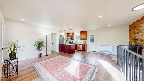 Living - 225 Renaud Rd, Bailey, CO 80421 photo 4 of 6