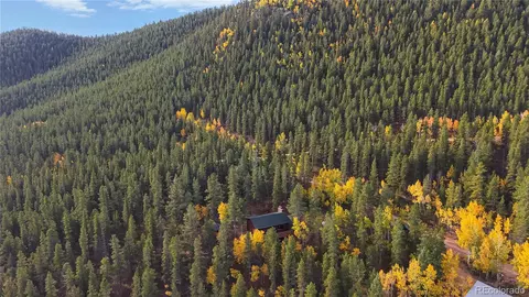 Other - 225 Renaud Rd, Bailey, CO 80421 photo 18 of 20