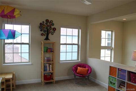 3417 Akron Ct, Denver, CO 80238 photo 13