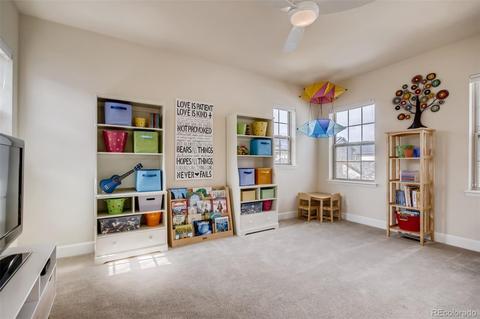 3417 Akron Ct, Denver, CO 80238 photo 12