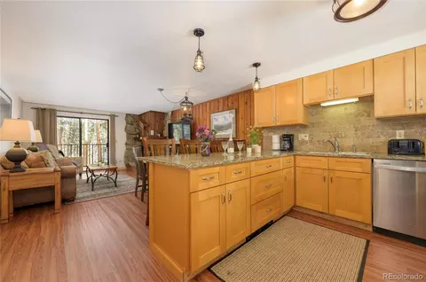 201 Gcr 702 #202, Winter Park, CO 80482