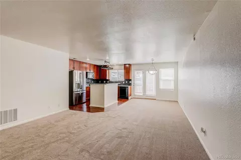19043 E 58th Ave, Denver, CO 80249 photo 3