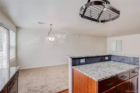 19043 E 58th Ave, Denver, CO 80249 photo 7