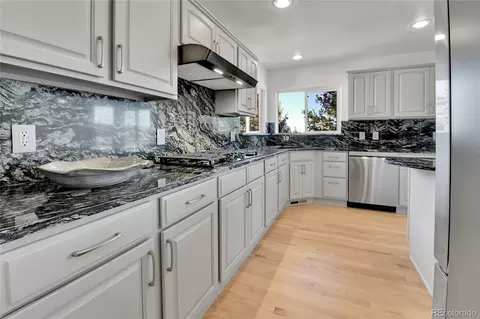 9232 Bauer Ct, Lone Tree, CO 80124 photo 11