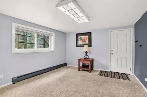 Other - 28110 Pine Dr, Evergreen, CO 80439 photo 6 of 7