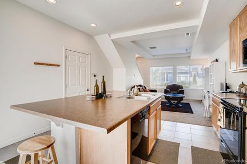 19066 E 55th Ave, Denver, CO 80249 photo 11