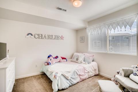 19066 E 55th Ave, Denver, CO 80249 photo 18
