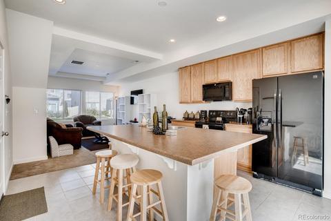 19066 E 55th Ave, Denver, CO 80249 photo 12