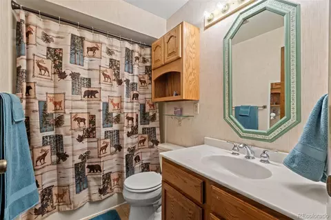 21258 Westway Dr, Morrison, CO 80465 photo 12