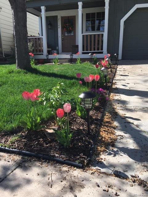 21144 E Scott Pl, Denver, CO 80249 photo 28