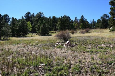 34402 Natural Spring Rd, Pine, CO 80470 photo 7