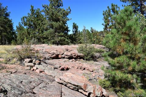 34402 Natural Spring Rd, Pine, CO 80470 photo 13