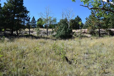 34402 Natural Spring Rd, Pine, CO 80470 photo 3