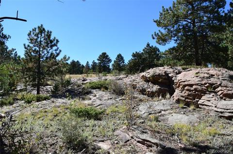 34402 Natural Spring Rd, Pine, CO 80470 photo 16