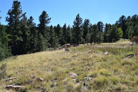 34402 Natural Spring Rd, Pine, CO 80470 photo 10