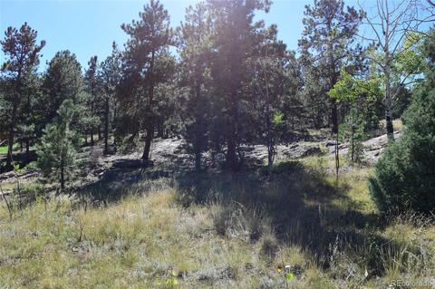 34402 Natural Spring Rd, Pine, CO 80470 photo 4