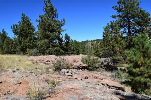 34402 Natural Spring Rd, Pine, CO 80470 photo 14