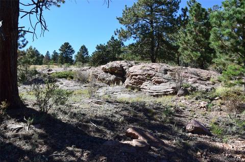 34402 Natural Spring Rd, Pine, CO 80470 photo 2