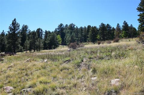 34402 Natural Spring Rd, Pine, CO 80470 photo 9