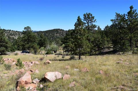34402 Natural Spring Rd, Pine, CO 80470 photo 8