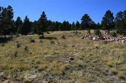 34402 Natural Spring Rd, Pine, CO 80470 photo 5
