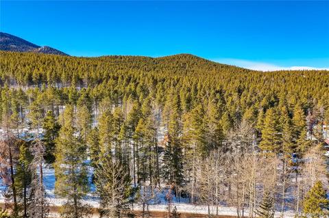 9028 Black Mountain Dr, Conifer, CO 80433 photo 9