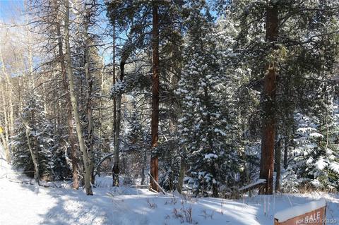 9028 Black Mountain Dr, Conifer, CO 80433 photo 1