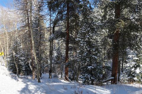 9028 Black Mountain Dr, Conifer, CO 80433 photo 3