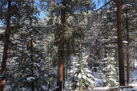 9028 Black Mountain Dr, Conifer, CO 80433 photo 6