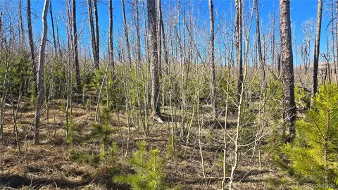 lot1470 Von Heyl Ln, Fort Garland, CO 81133