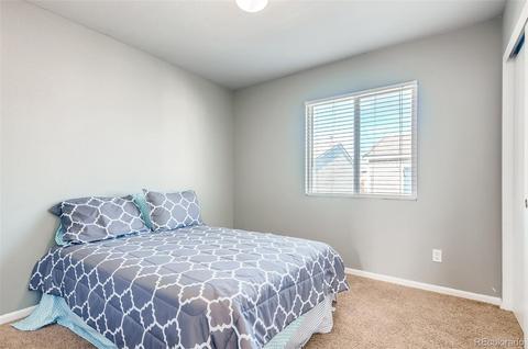18669 Mitchell Pl, Denver, CO 80249 photo 17