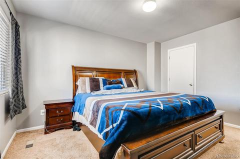 18669 Mitchell Pl, Denver, CO 80249 photo 15