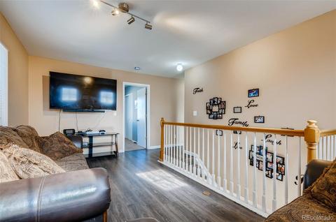 18669 Mitchell Pl, Denver, CO 80249 photo 23