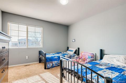 18669 Mitchell Pl, Denver, CO 80249 photo 20