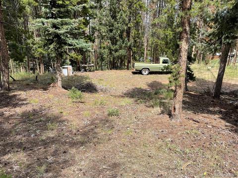 10891 Kitty Dr, Conifer, CO 80433 photo 6