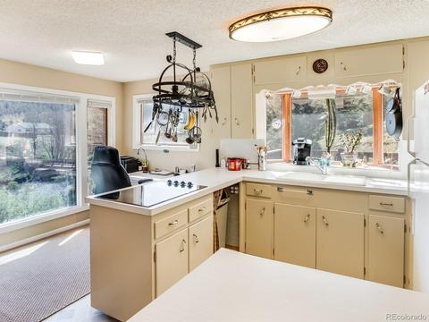 28380 S River Rd, Pine, CO 80470 photo 17