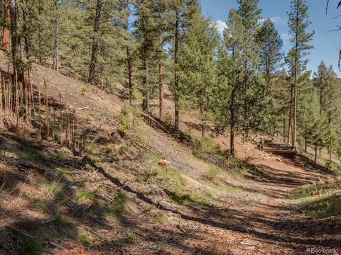 28380 S River Rd, Pine, CO 80470 photo 26