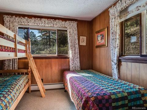 28380 S River Rd, Pine, CO 80470 photo 22