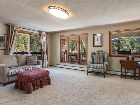 28380 S River Rd, Pine, CO 80470 photo 18