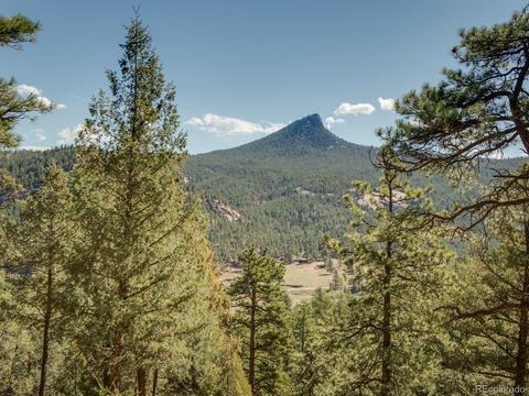 28380 S River Rd, Pine, CO 80470 photo 28