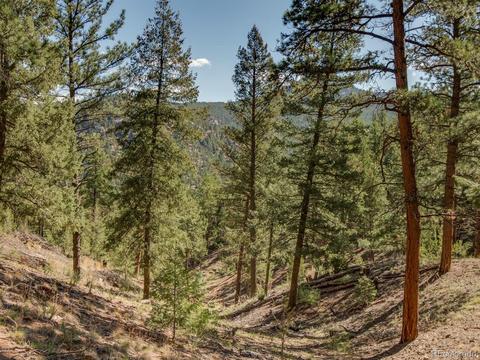 28380 S River Rd, Pine, CO 80470 photo 29