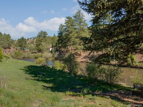 28380 S River Rd, Pine, CO 80470 photo 25