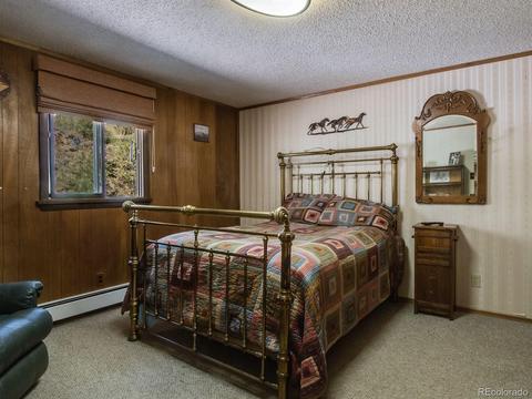 28380 S River Rd, Pine, CO 80470 photo 21