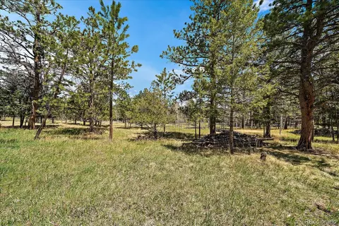 Burland Drive, Bailey, CO 80421 photo 5